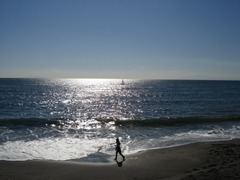 DSC02362_resize2.jpg