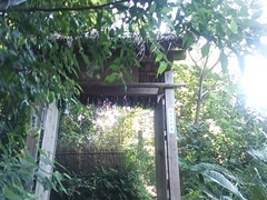 DSC_0116.JPG