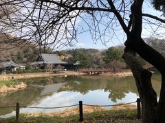IMG_2531.jpg