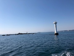 IMG_2592.jpg