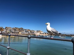 IMG_2774.jpg