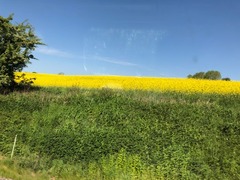 IMG_2843.jpg