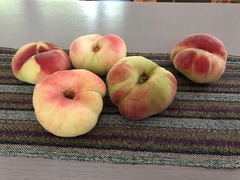 IMG_3357.jpg