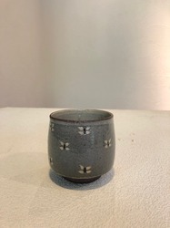 IMG_2727.jpg